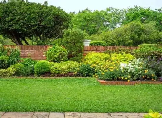 landscaping services Freeburg